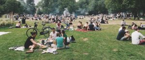 people having a picnic in a crowded park