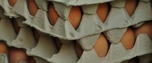 cartons of eggs stacked on each other