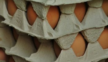 cartons of eggs stacked on each other