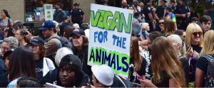 animal activist protest with a sign that says "VEGAN FOR THE ANIMALS"