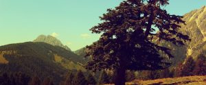 American environment outdoors