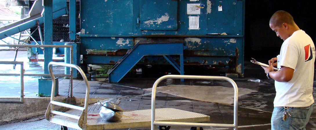an inspector checking the quality of a factory farm