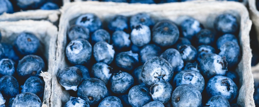 blueberries in boxes