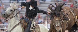 a cowboy stringing a rope around a horse during a rodeo competition