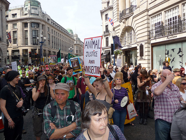 large crowd at animal rights protest, one person holding a sign reading "Animal Justice - Anti Vivisection"