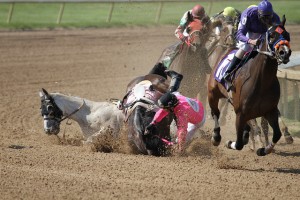 accident at a horserace, brown horse and jockey falling on top of white horse as others race by