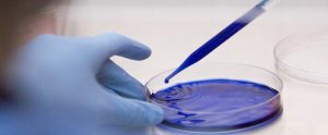 researcher doing experiments with blue liquids