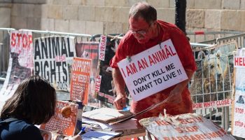 a vegan with posters for animal rights