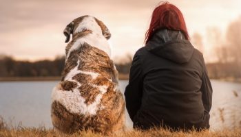 a woman sitting next to her dog facing a lake