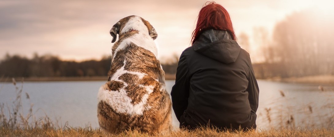 a woman sitting next to her dog facing a lake