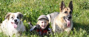 a blond child next to a German Shepard and a dog