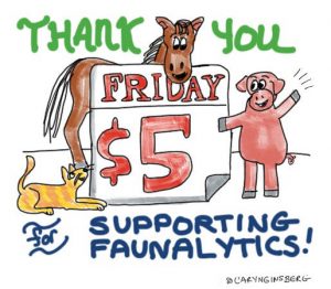 $5 Friday - Thanks for the support!