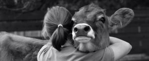 black and white image of a woman hugging a cow
