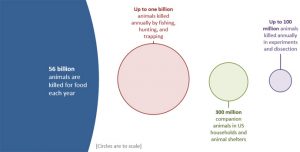 Scale of animal suffering