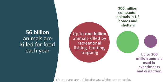 Animal Advocacy By Numbers - Faunalytics