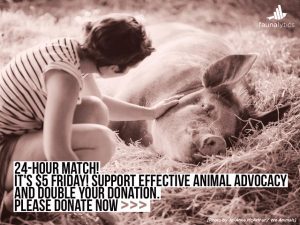 $5 Friday - support Faunalytics!