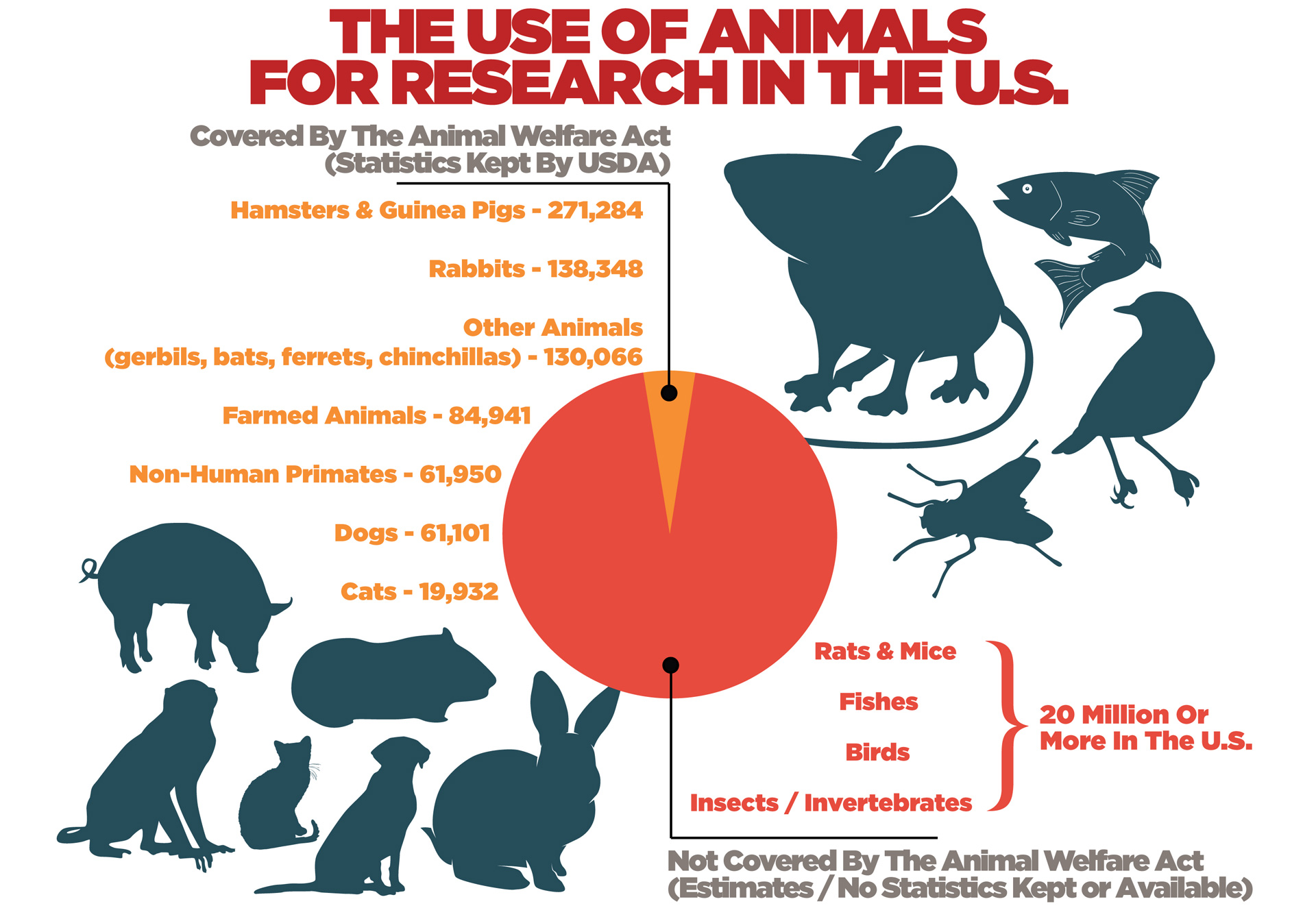 position statement on the use of animals in research