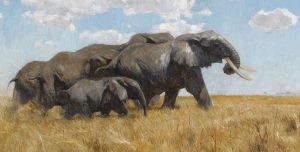 Elefanten by Friedrich Wilhelm Kuhnert