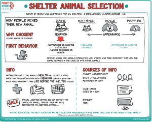 Why do people choose shelter animals?