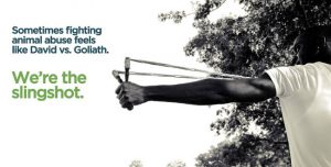 Faunalytics is the slingshot