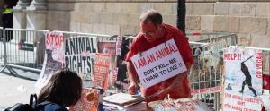 animal rights protestor