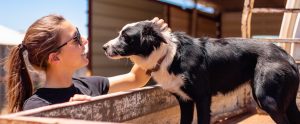 happy dog and person in sunlight