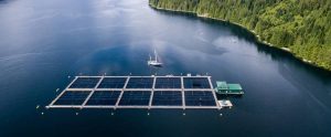 fish farm