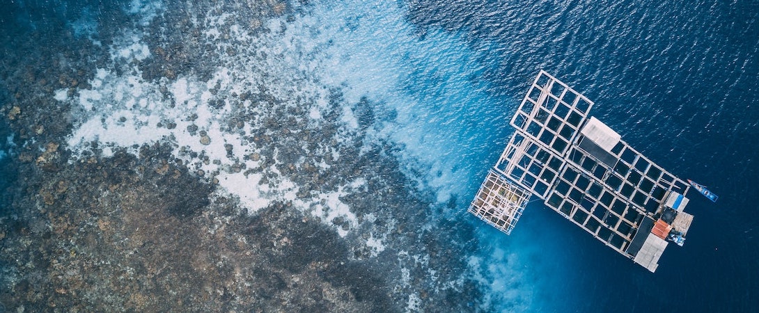 fish farm aerial
