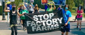 stop factory farms