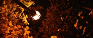 street lamp in foliage