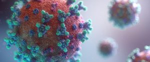 covid 19 virus view