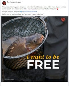 a social media post depicting a fish caught in a net with the text ‘I want to be free’ to depict the social media condition for fish