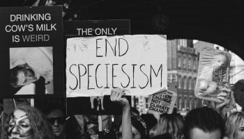end speciesism sign