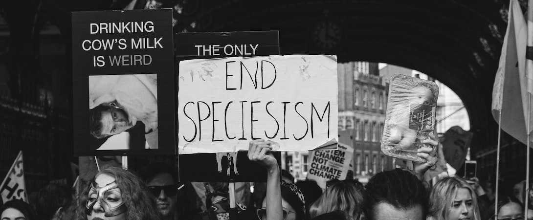 end speciesism sign