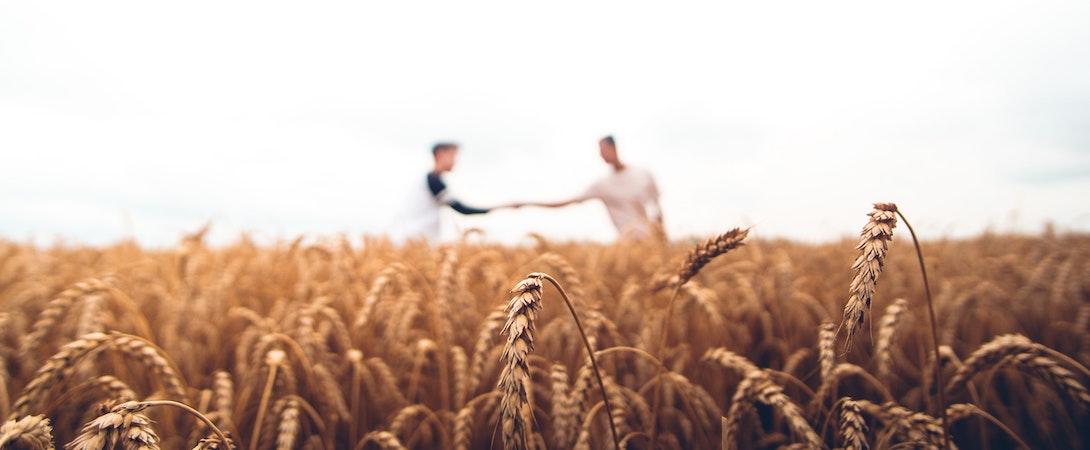 shaking-hands-in-field