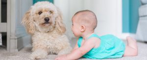 baby-with-dog