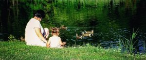 feeding-ducks