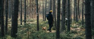 dog and person on hike