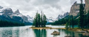 park-with-island-trees
