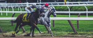 Two thoroughbreds racing