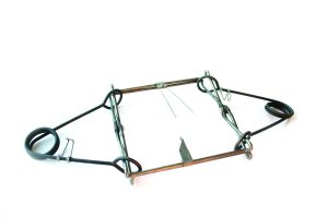 conibear trap