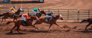 horses racing