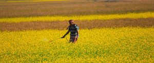 farmer spraying pesticides