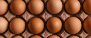 eggs