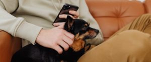 adolescent-with-phone-and-dog