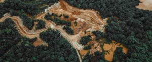 forested-land