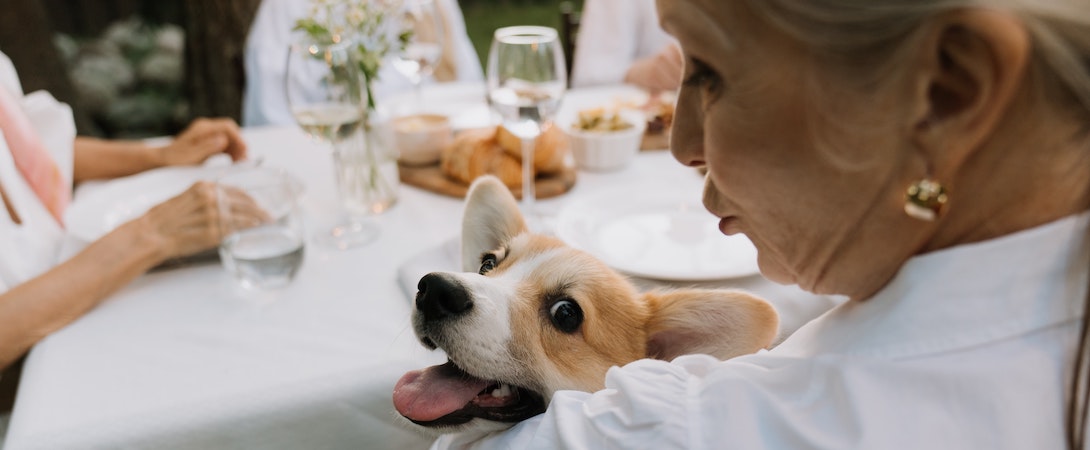 woman-hugging-dog-at-table