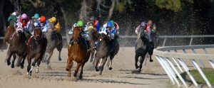 horse-racing