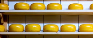 wheels-of-cheese-on-shelf