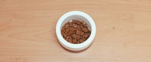 bowl-of-dog-food-wood-floor